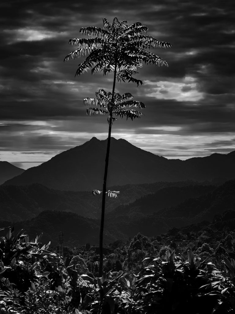 Lembang Highland, West Java