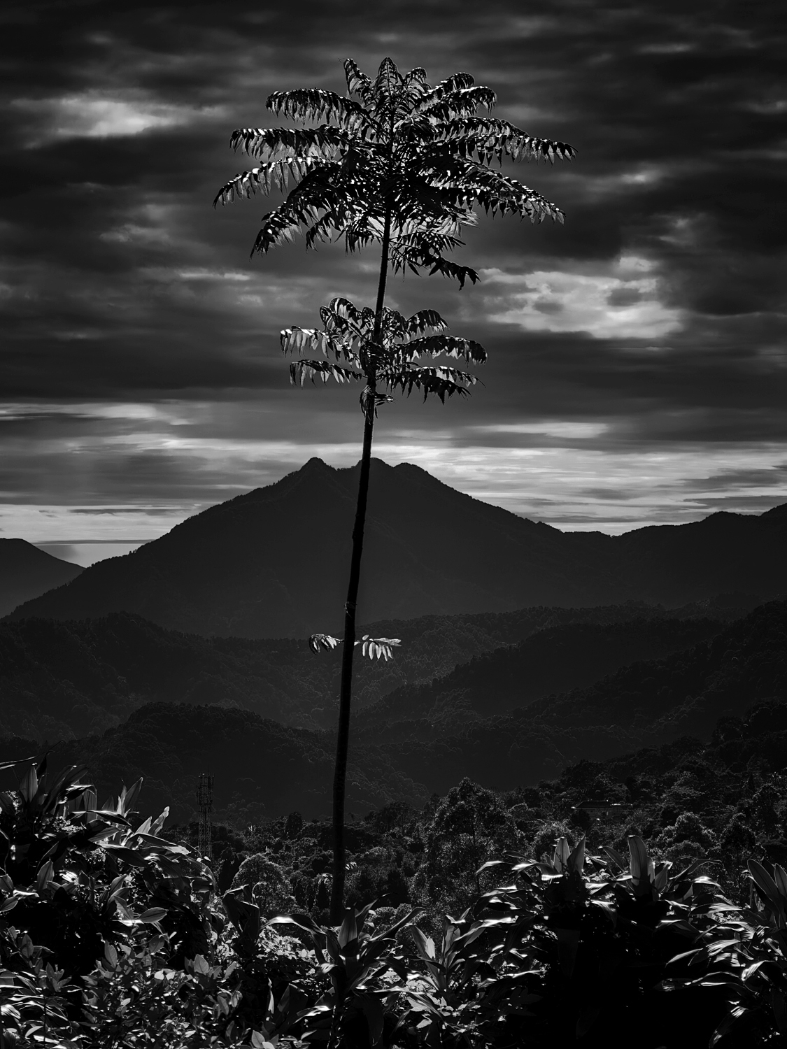 Lembang Highland, West Java