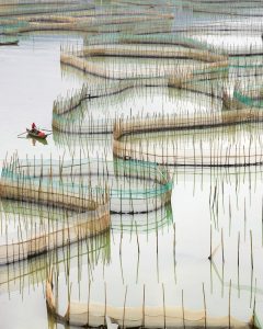 Nets 2, Ningde, Fujian, People’s Republic of China (vertical format)