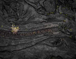 New Life, Lava Field
