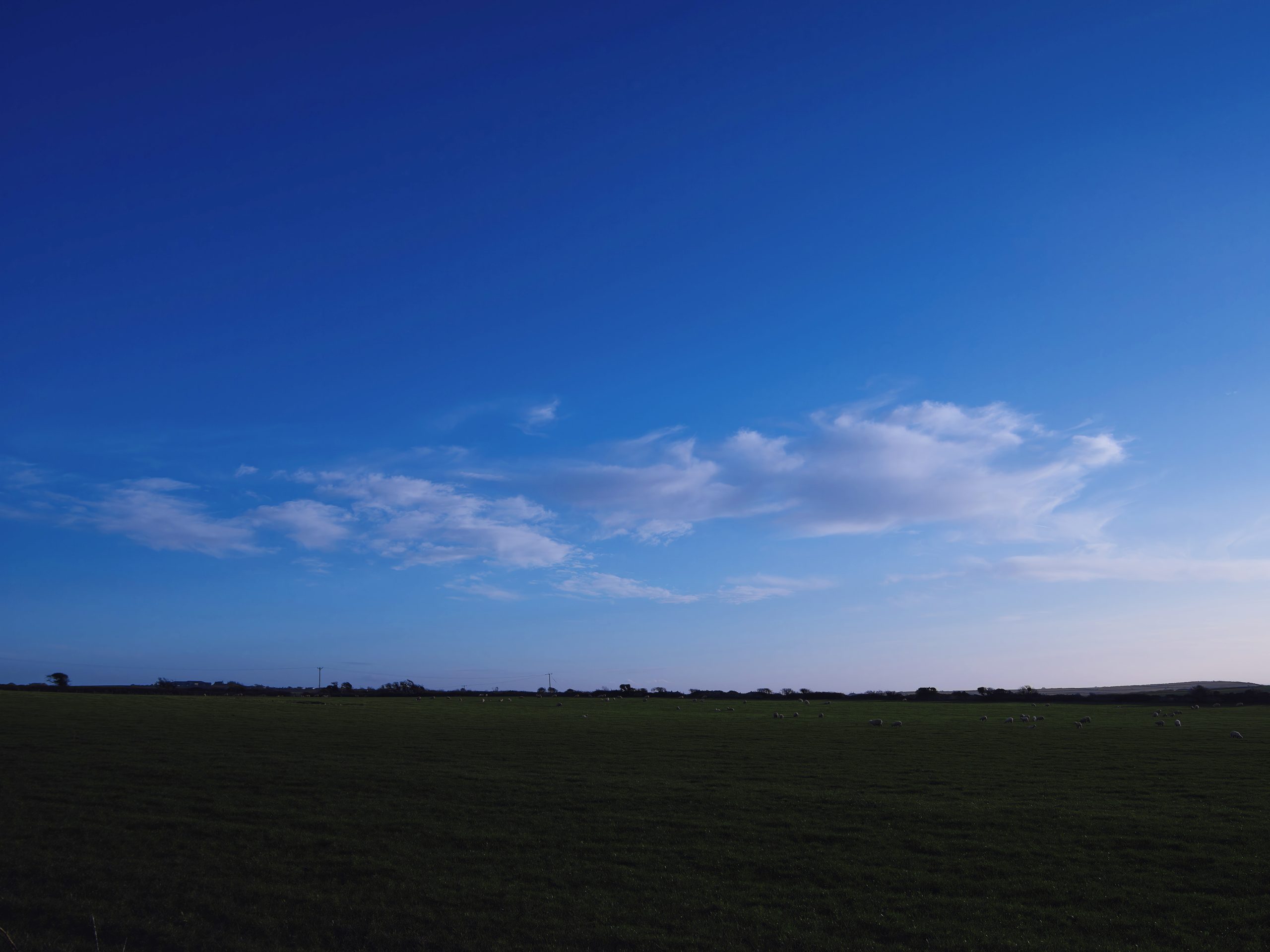 Nightfall 9