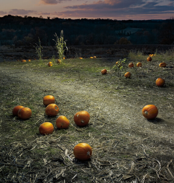 Pumpkin Field