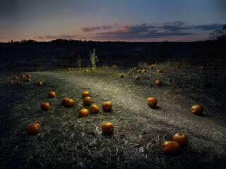 Pumpkin Field at Night