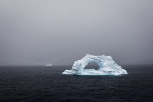 The One With the Hole in It