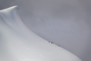 Chinstrap Penguins Climbing Iceberg Near Elephant Island