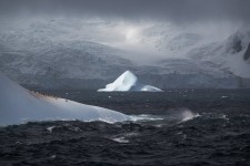 Icebergs and Glaciers, Elephant Island