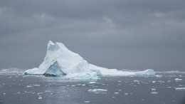 Iceberg Caught in Neko Harbor, Antarctic Peninsula