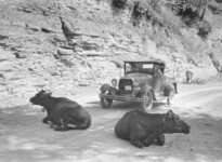 The Hazards of Travel by Car, Jackson, Kentucky