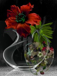 Still Life’s Unbound 01