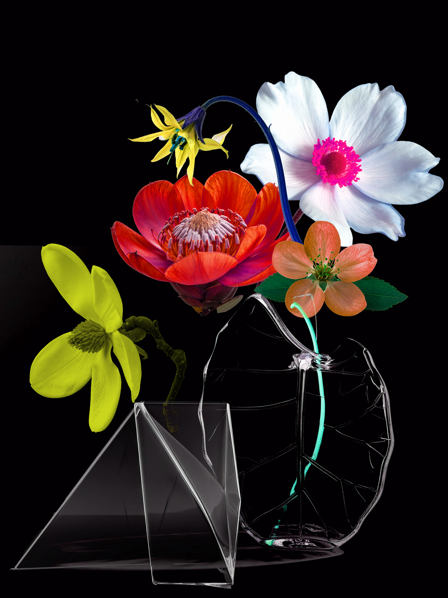 Still Life’s Unbound 02