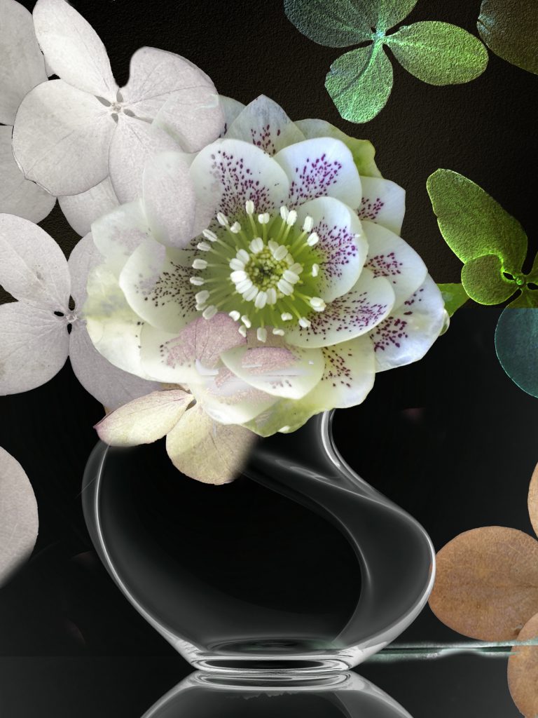 Still Lifes Unbound 06