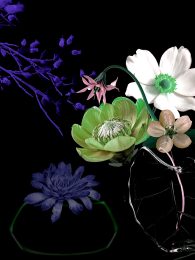 Still Lifes Unbound 08