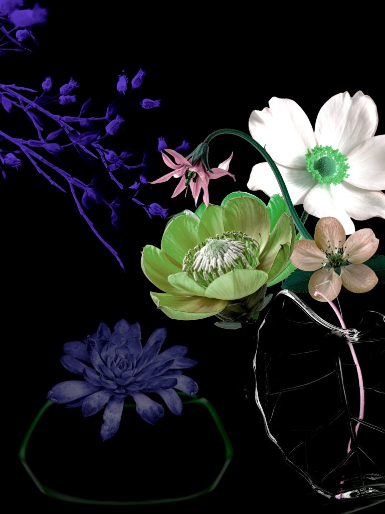 Still Lifes Unbound 08