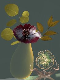 Still Lifes Unbound 9