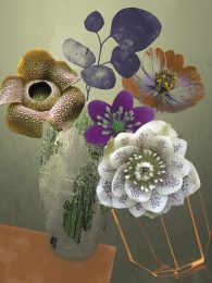 Still Lifes Unbound 12