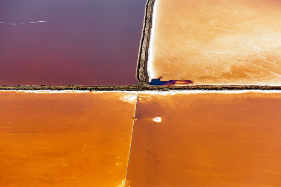 Salt Lagoons 12, San Francisco Bay