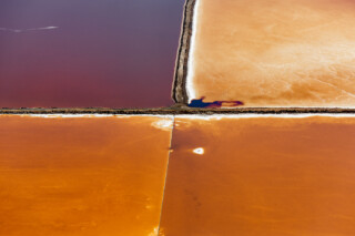 Salt Lagoons 12, San Francisco Bay