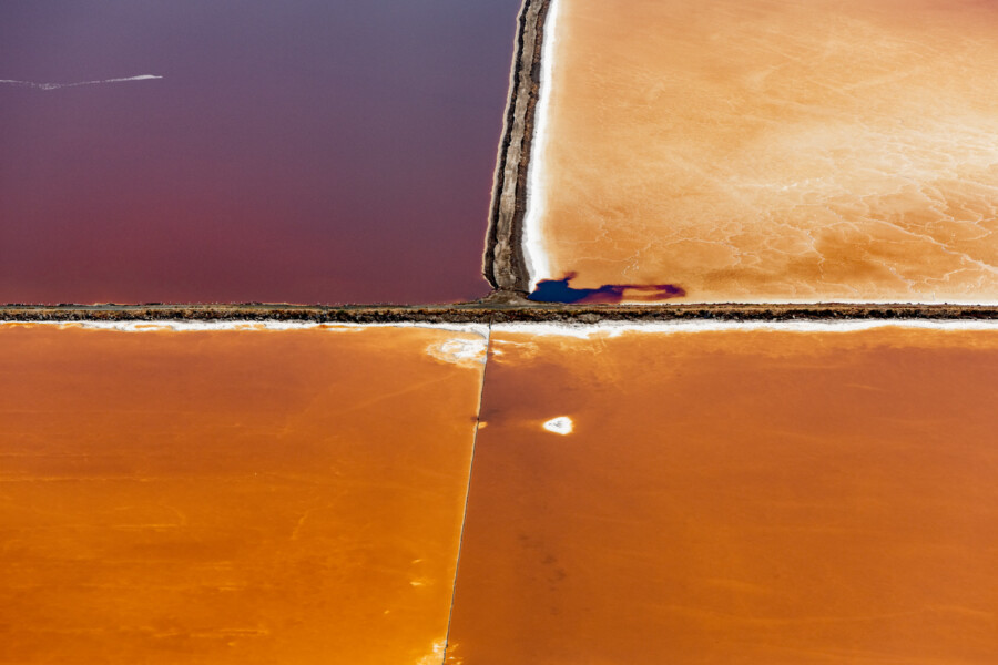 Salt Lagoons 12, San Francisco Bay