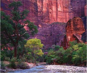 Zion National Park