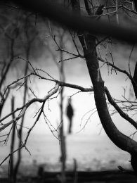 Stark, Kawah Putih, West Java, Indonesia