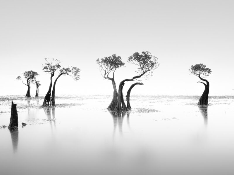Sumba Samba 02