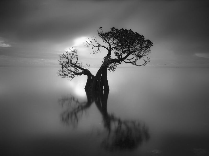 Sumba Samba 03