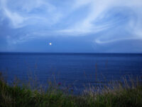 Ebb and Flow 14