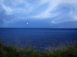 Ebb and Flow 14