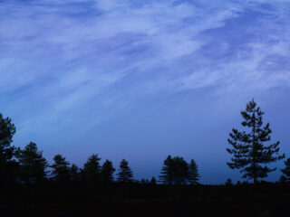 Ebb and Flow 2