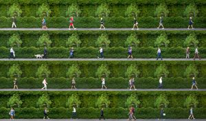 Time Lapse: Princes Street, Auckland, New Zealand