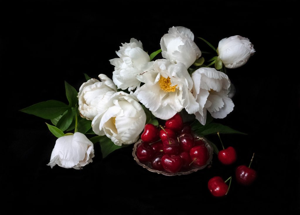 Untitled: Peonies with Cherries