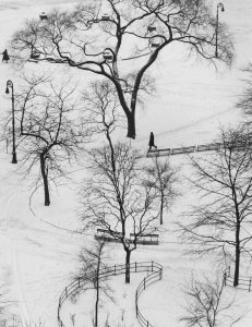 Washington Square, Winter