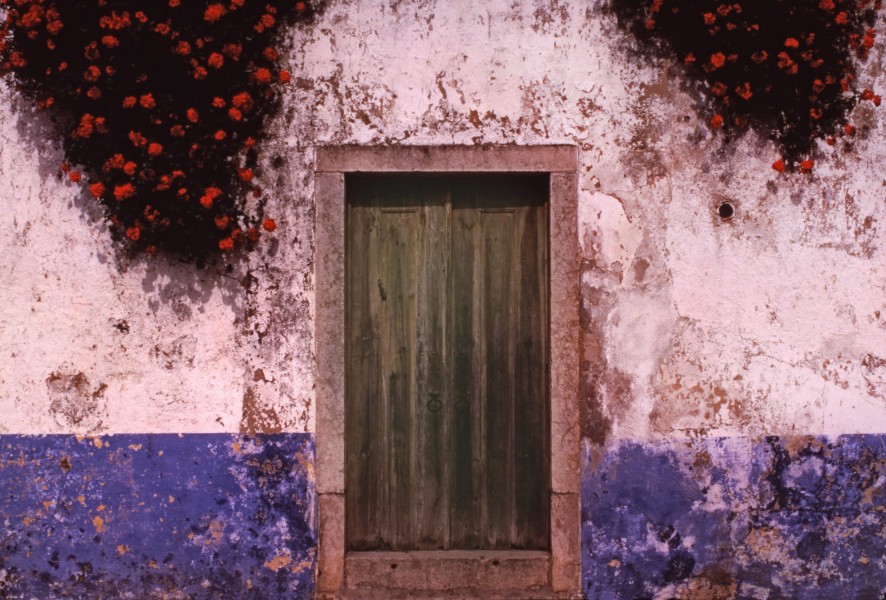 Wall With Roses, Obidos, Portugal