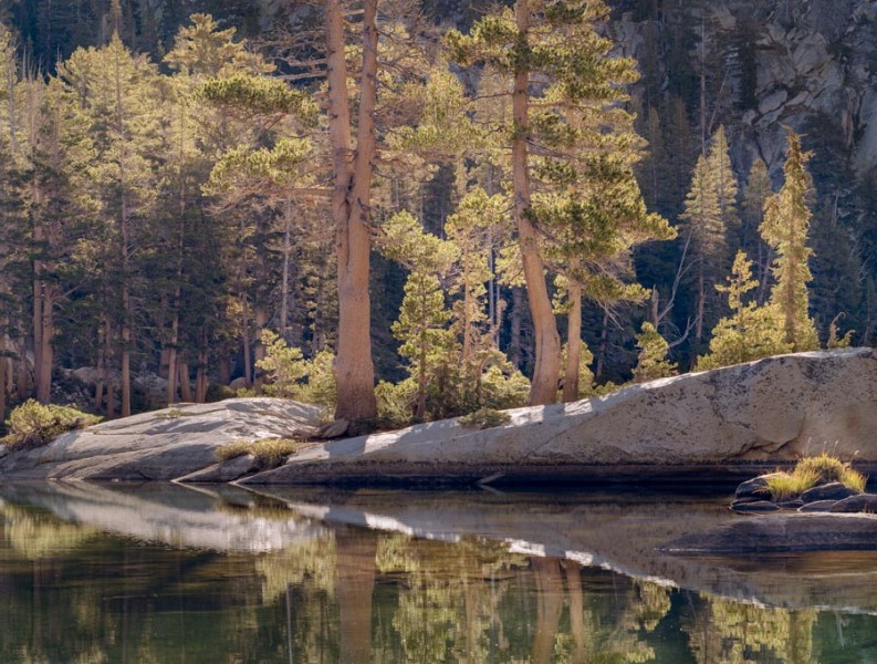 Backlit Pines and Granite, Ten Lakes Basin, Yosemite