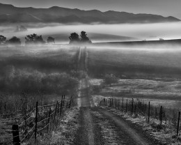 Morning Fog and Country Road