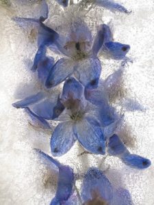 Color – Ice Form 34