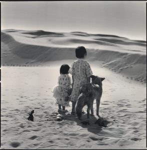 Coyote with Children