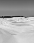 Sand Dunes to Oak Woodlands (Dune Anatomy)