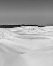 Sand Dunes to Oak Woodlands (Dune Anatomy)
