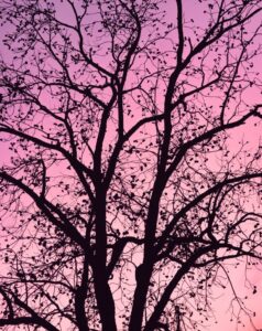 Christopher Burkett