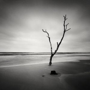 By The Water, II, Sweden