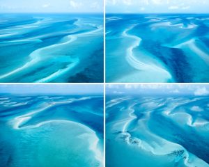 Nets Study 1, Fujian, China