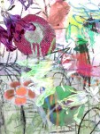 Flowers II 18