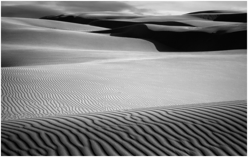 Oceano Dunes #5475