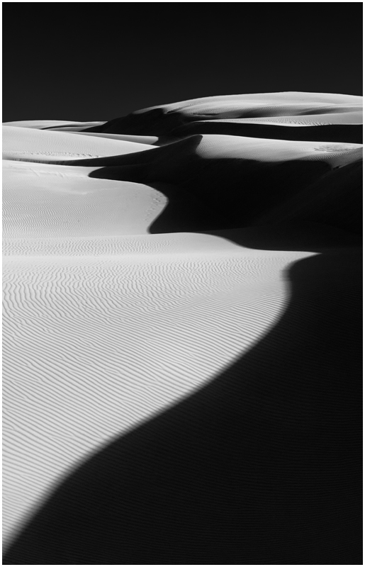 Oceano Dunes #5481