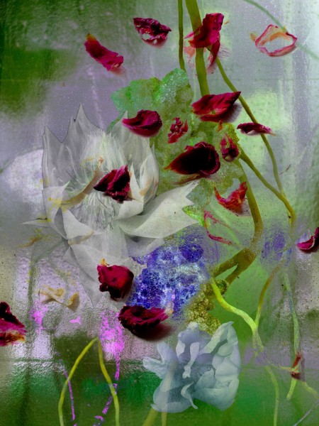 Flowers 08