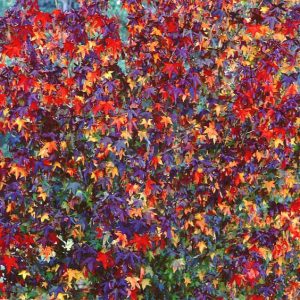 Sweetgum Stars, Virginia