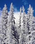 White Snow Spires, Colorado